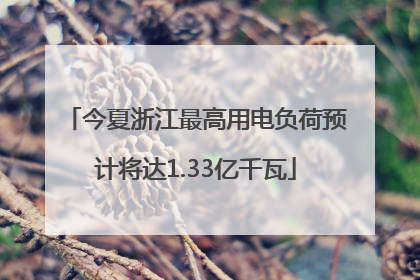 今夏浙江最高用电负荷预计将达1.33亿千瓦