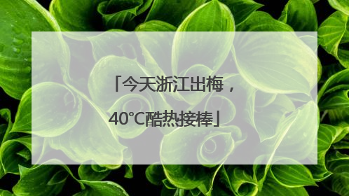 今天浙江出梅，40℃酷热接棒