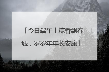 今日端午丨粽香飘春城，岁岁年年长安康
