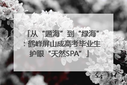 从“题海”到“绿海”：鹤峰屏山成高考毕业生护眼“天然SPA”