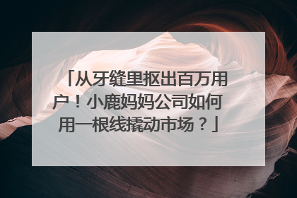 从牙缝里抠出百万用户！小鹿妈妈公司如何用一根线撬动市场？