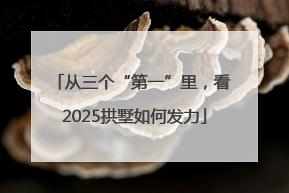 从三个“第一”里，看2025拱墅如何发力