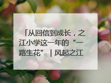 从回信到成长，之江小学这一年的“一路生花”｜风起之江 扶摇直上