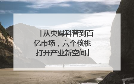 从央媒科普到百亿市场，六个核桃打开产业新空间