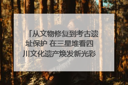 从文物修复到考古遗址保护 在三星堆看四川文化遗产焕发新光彩｜您牵挂的四川