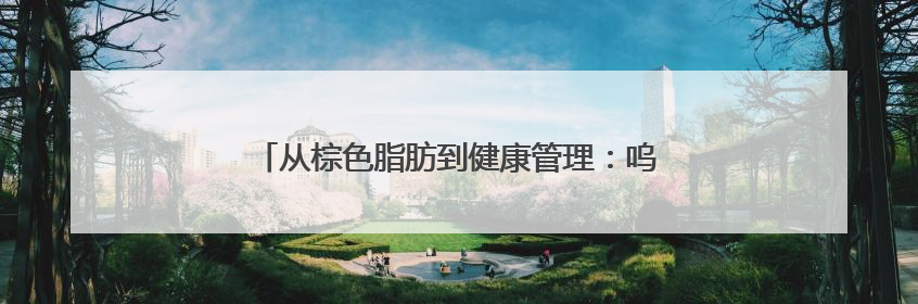 从棕色脂肪到健康管理：呜咔实验室的科学革新之路