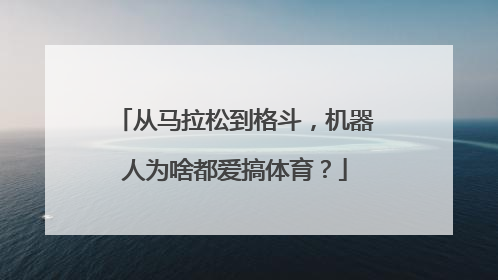 从马拉松到格斗，机器人为啥都爱搞体育？