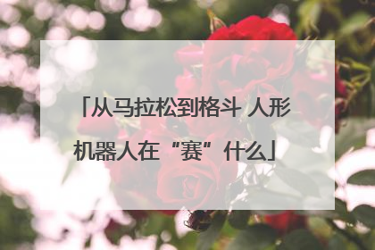 从马拉松到格斗 人形机器人在“赛”什么