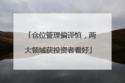 仓位管理偏谨慎，两大领域获投资者看好