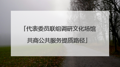 代表委员联组调研文化场馆 共商公共服务提质路径