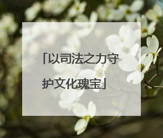 以司法之力守护文化瑰宝