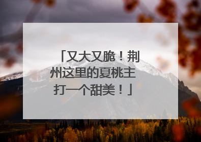 又大又脆！荆州这里的夏桃主打一个甜美！