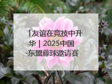 友谊在竞技中升华｜2025中国-东盟藤球邀请赛开赛 贵州惠水燃动“空中芭蕾”