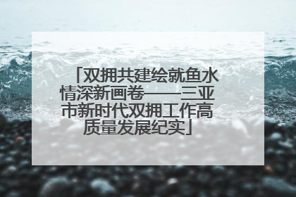 双拥共建绘就鱼水情深新画卷——三亚市新时代双拥工作高质量发展纪实