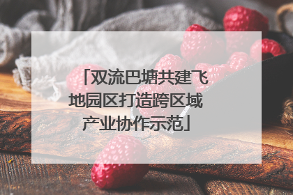 双流巴塘共建飞地园区打造跨区域产业协作示范