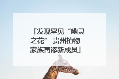 发现罕见“幽灵之花” 贵州植物家族再添新成员
