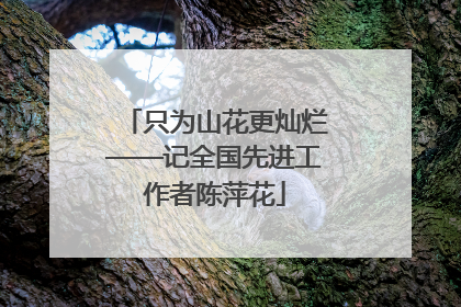 只为山花更灿烂——记全国先进工作者陈萍花