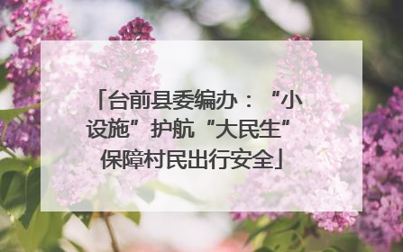 台前县委编办：“小设施”护航“大民生” 保障村民出行安全