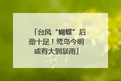 台风“蝴蝶”后劲十足！鹭岛今明或有大到暴雨