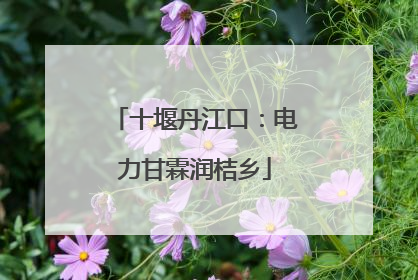 十堰丹江口：电力甘霖润桔乡