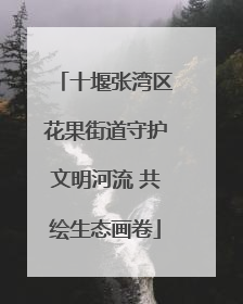 十堰张湾区花果街道守护文明河流 共绘生态画卷