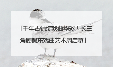 千年古镇绽戏曲华彩！长三角顾锡东戏曲艺术周启幕