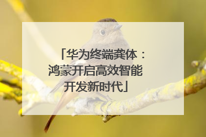 华为终端龚体：鸿蒙开启高效智能开发新时代