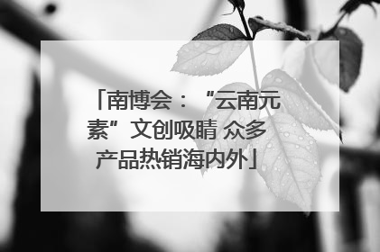 南博会：“云南元素”文创吸睛 众多产品热销海内外