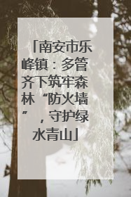 南安市乐峰镇：多管齐下筑牢森林“防火墙”，守护绿水青山
