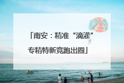 南安：精准“滴灌”专精特新竞跑出圈
