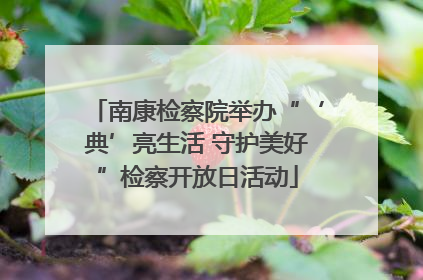 南康检察院举办“‘典’亮生活 守护美好”检察开放日活动