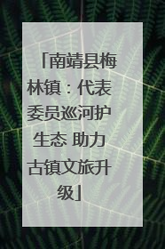 南靖县梅林镇：代表委员巡河护生态 助力古镇文旅升级