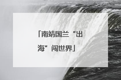 南靖国兰“出海”闯世界