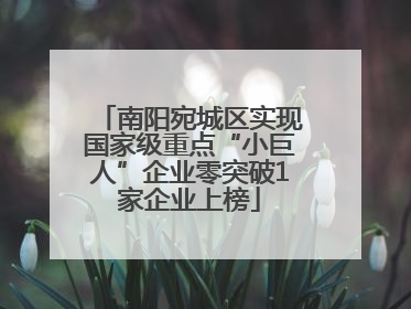 南阳宛城区实现国家级重点“小巨人”企业零突破1家企业上榜