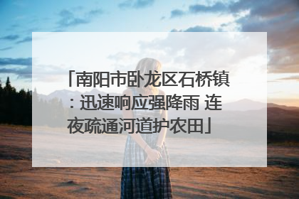 南阳市卧龙区石桥镇：迅速响应强降雨 连夜疏通河道护农田