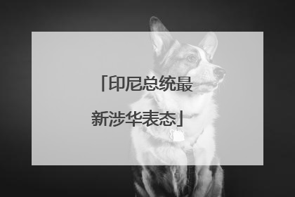 印尼总统最新涉华表态