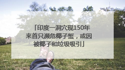 印度一洞穴现150年来首只濒危椰子蟹，或因被椰子和垃圾吸引