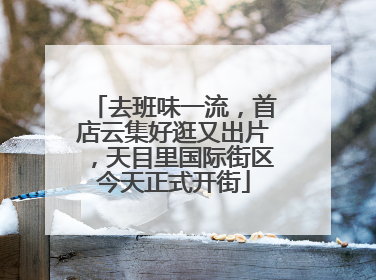 去班味一流，首店云集好逛又出片，天目里国际街区今天正式开街