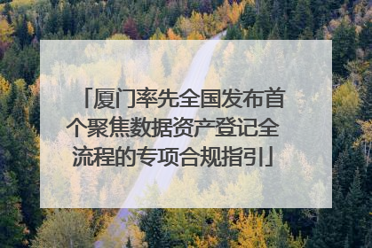 厦门率先全国发布首个聚焦数据资产登记全流程的专项合规指引