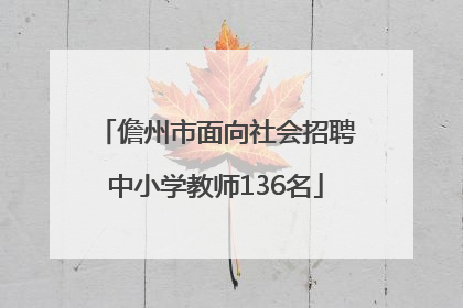 儋州市面向社会招聘中小学教师136名