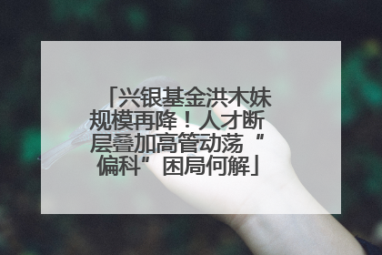 兴银基金洪木妹规模再降！人才断层叠加高管动荡“偏科”困局何解