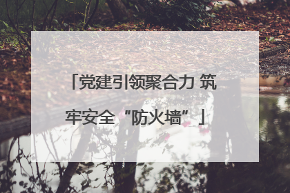 党建引领聚合力 筑牢安全“防火墙”