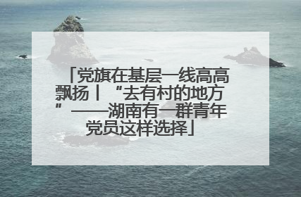 党旗在基层一线高高飘扬丨“去有村的地方”——湖南有一群青年党员这样选择