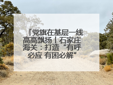 党旗在基层一线高高飘扬丨石家庄海关：打造“有呼必应 有困必解”关企互动新生态