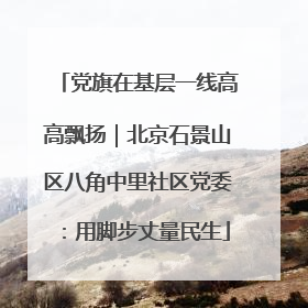 党旗在基层一线高高飘扬｜北京石景山区八角中里社区党委：用脚步丈量民生