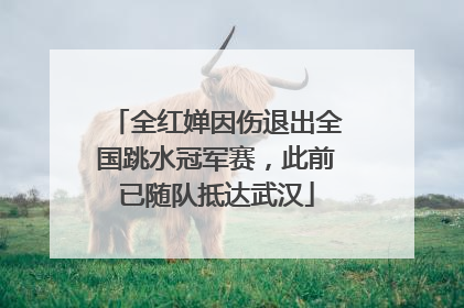 全红婵因伤退出全国跳水冠军赛，此前已随队抵达武汉