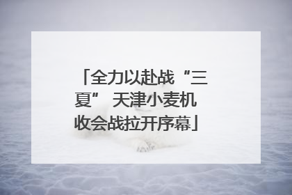 全力以赴战“三夏” 天津小麦机收会战拉开序幕