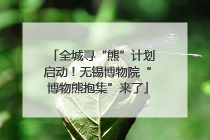 全城寻“熊”计划启动！无锡博物院“博物熊抱集”来了