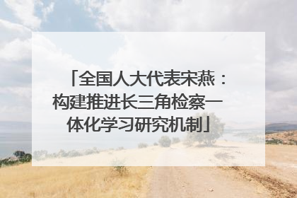 全国人大代表宋燕：构建推进长三角检察一体化学习研究机制