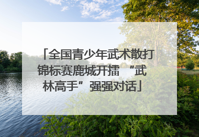 全国青少年武术散打锦标赛鹿城开擂 “武林高手”强强对话